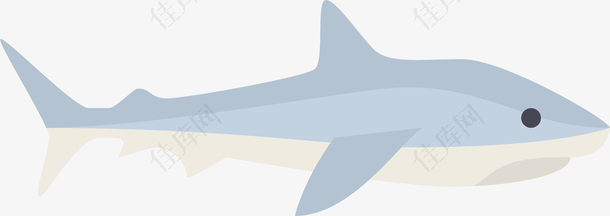 鲨鱼卡通图标
