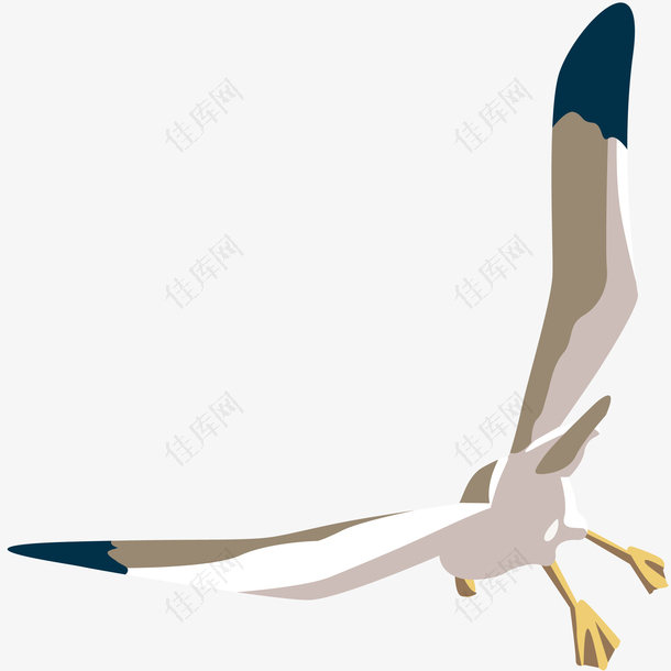 矢量翱翔的海鸥插画素材