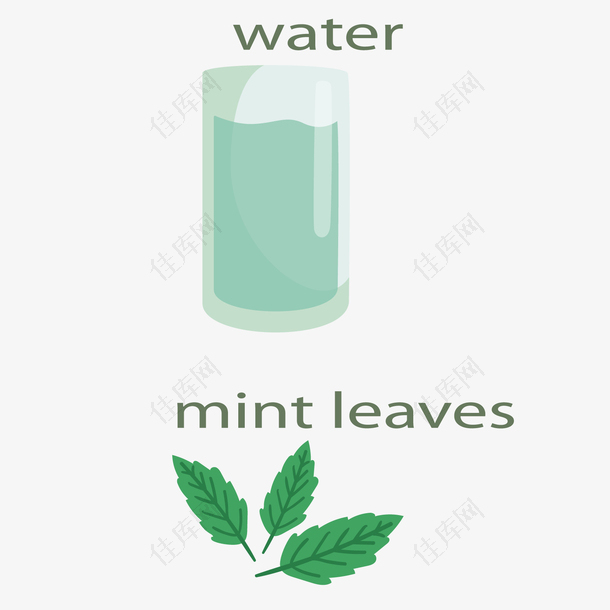 矢量的绿叶和水人体补水