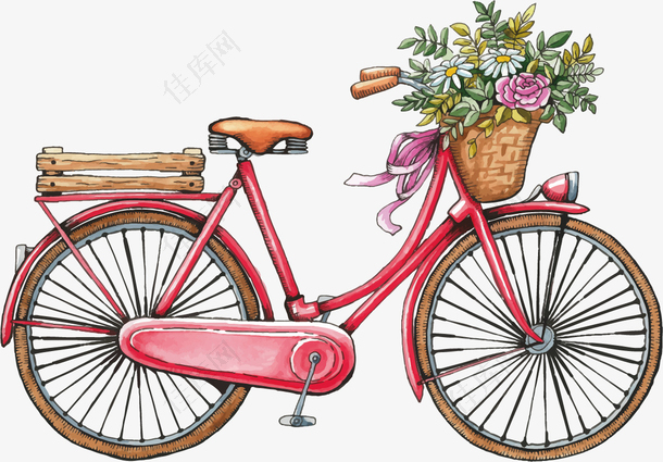 自行车与花卉