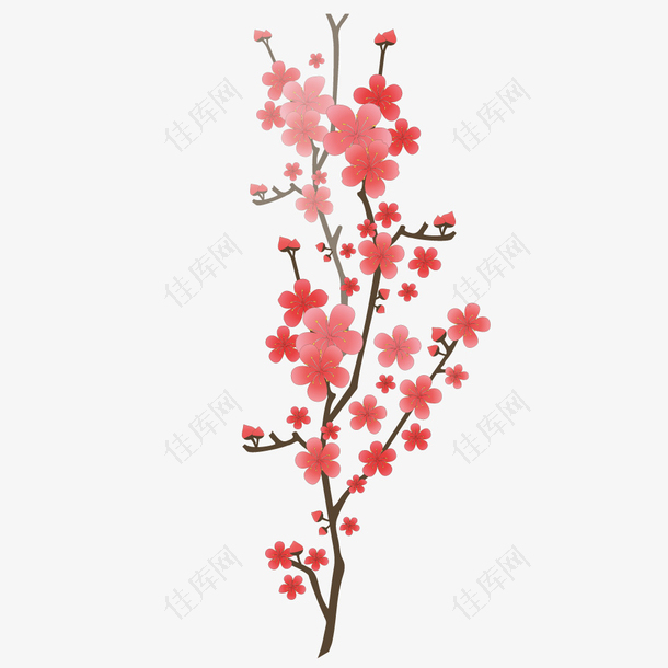 桃树粉红桃花花瓣花朵矢量素材