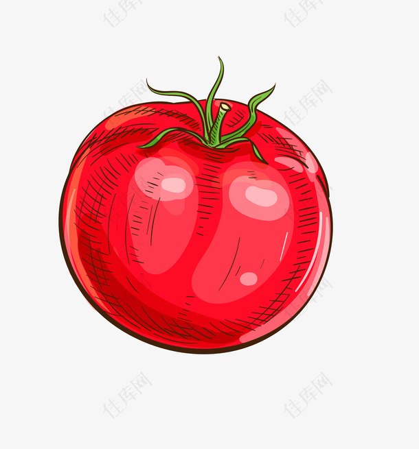 红色西红柿手绘卡通免抠png