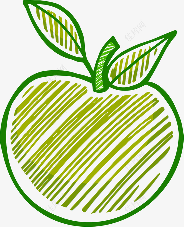矢量线描苹果