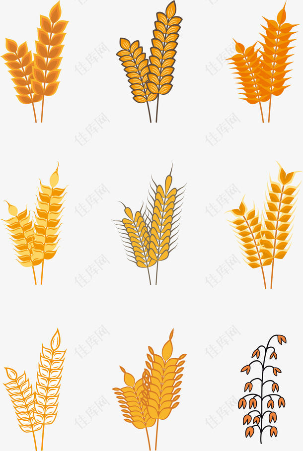 金色麦穗麦子矢量图形