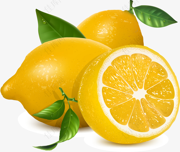 矢量水果柠檬