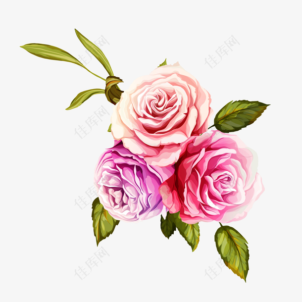 情人节玫瑰花素材图案