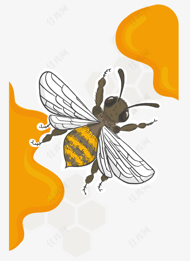 矢量手绘蜂蜜和蜜蜂