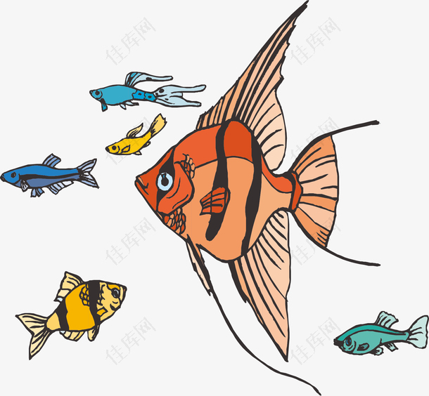 五彩的小鱼素材图片