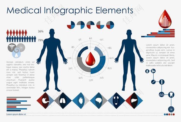 血滴和人体器官信息图表图片