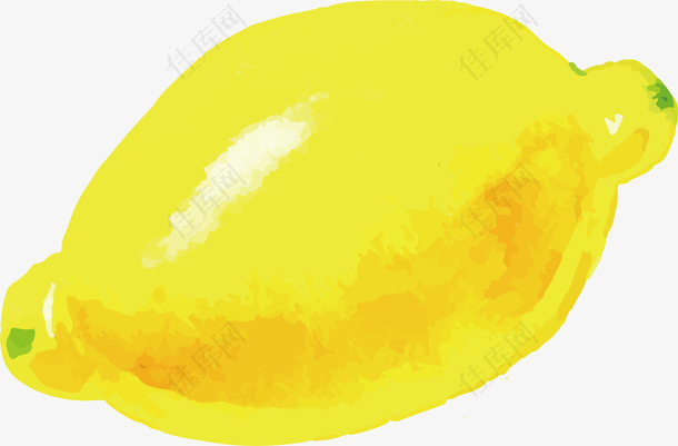矢量手绘水果柠檬