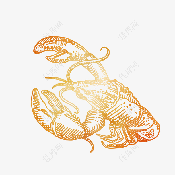 手绘小龙虾设计素材