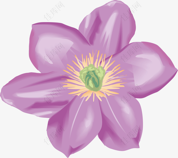 卡通盛开的紫色花朵图