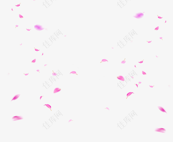 精美的粉红色花瓣免抠图