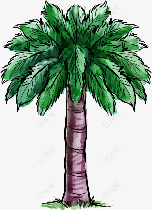 手绘水彩树椰子树设计元素