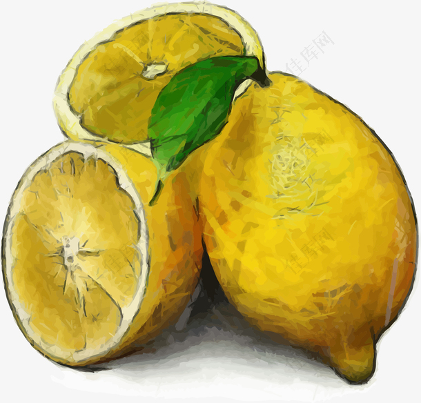 手绘水彩写实柠檬