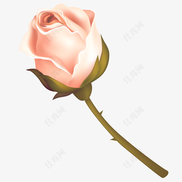 矢量手绘一枝粉色玫瑰花