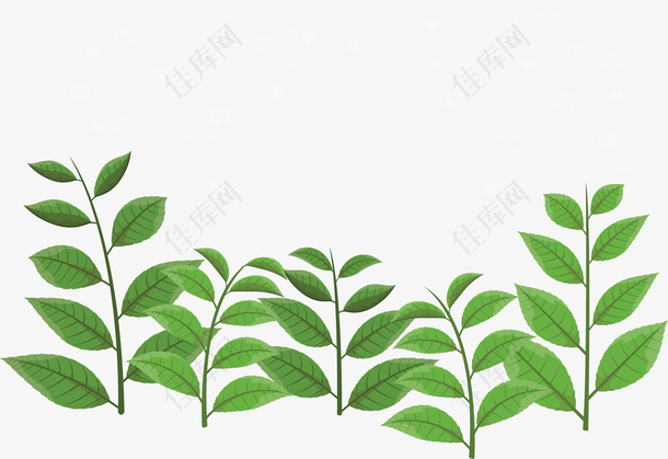 小清新绿色茶叶花纹