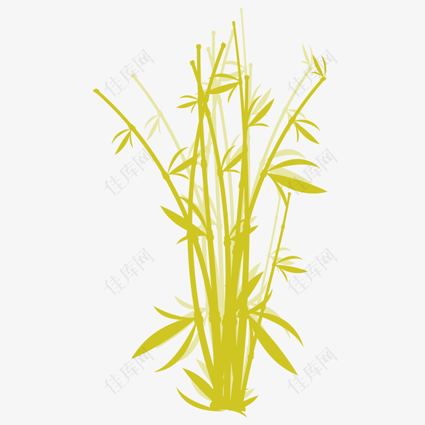 一丛大大小小的金色竹子带几片竹