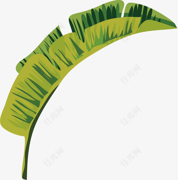 矢量图绿色芭蕉扇