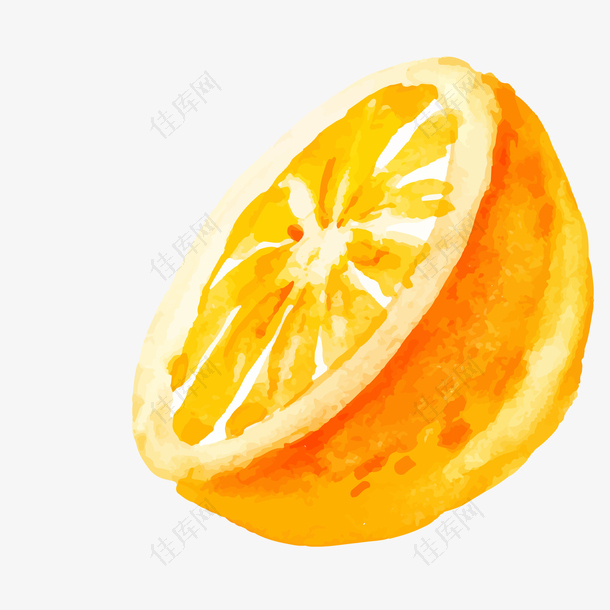 卡通手绘橙子矢量图