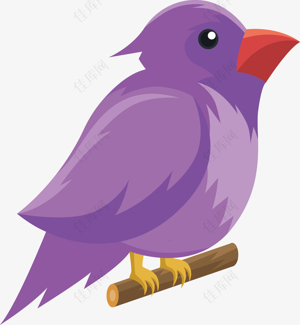 站在枝头的紫色小胖鸟