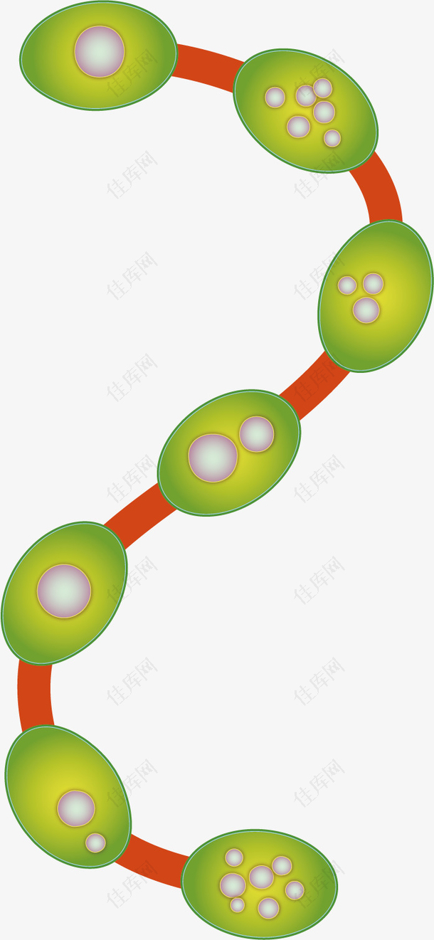矢量图绿色创意细胞
