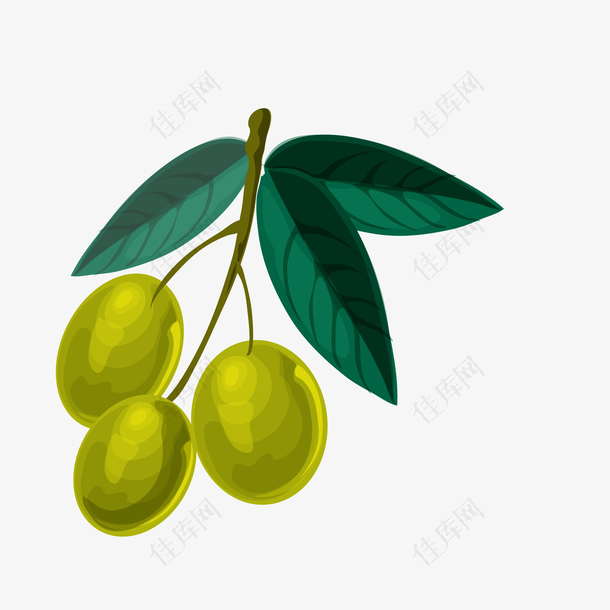 卡通手绘橄榄植物设计