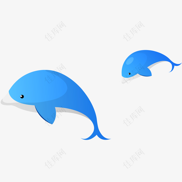 蓝色的海豚设计矢量图