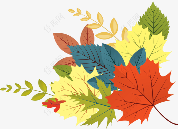 立秋秋季彩色树叶