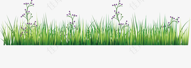 矢量图绿地里的紫色花