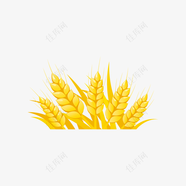 金色的麦子下载