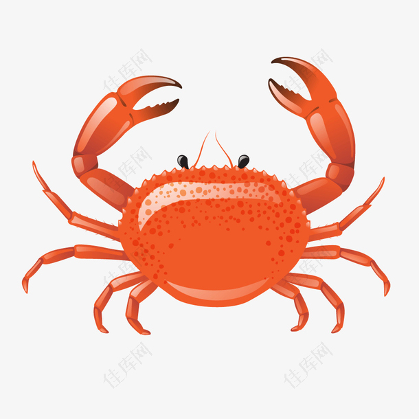 红色海鲜螃蟹水产品
