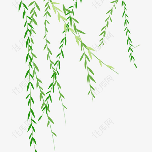 绿色清新装饰柳树设计图