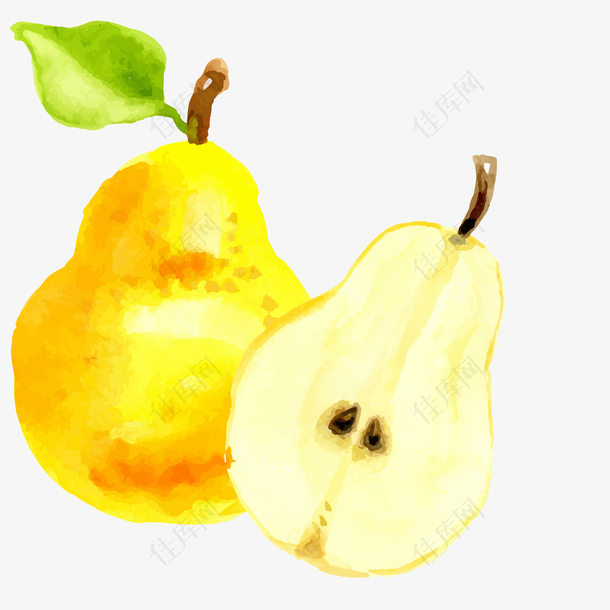 卡通手绘彩绘黄色的水果