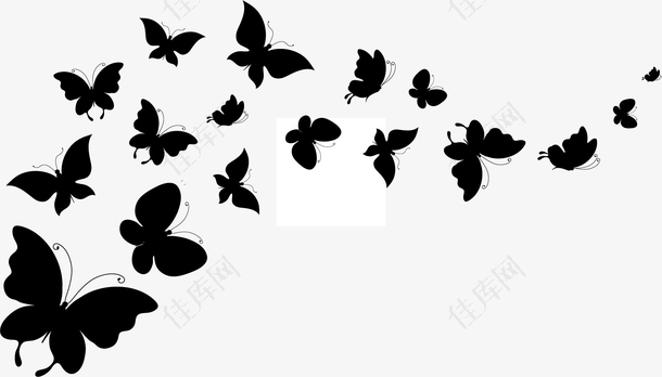 漂浮黑色蝴蝶