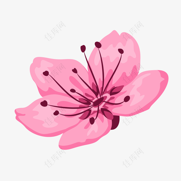 手绘矢量粉色鲜花植物