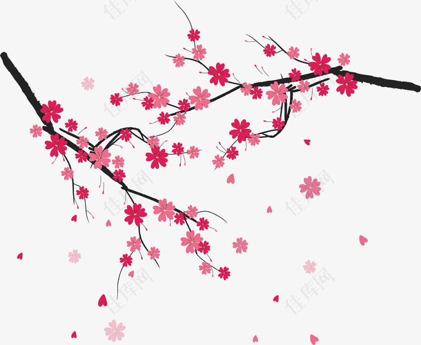 樱花节粉红飞舞花瓣