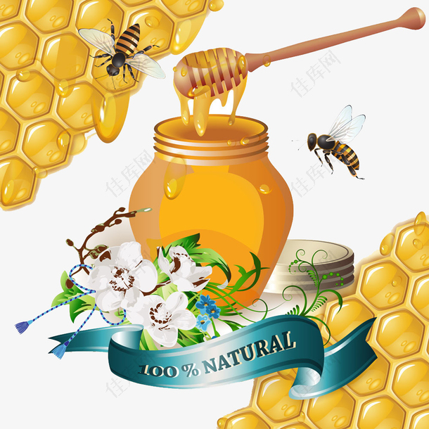 蜂蜜与蜜蜂矢量图
