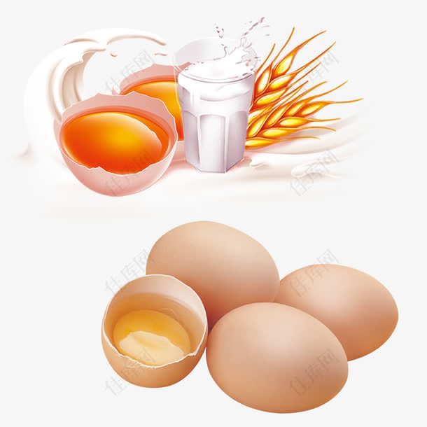 鸡蛋奶素材