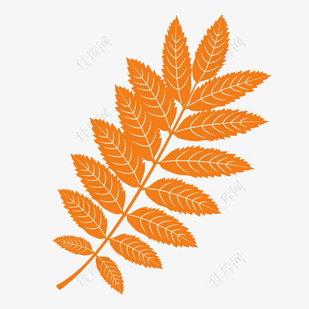 橙白色卡通尖角倒刺树叶