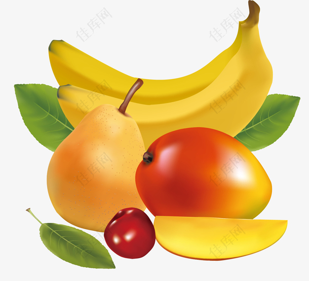 矢量水果香蕉芒果