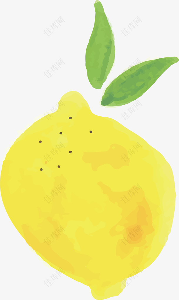 水彩柠檬水果设计