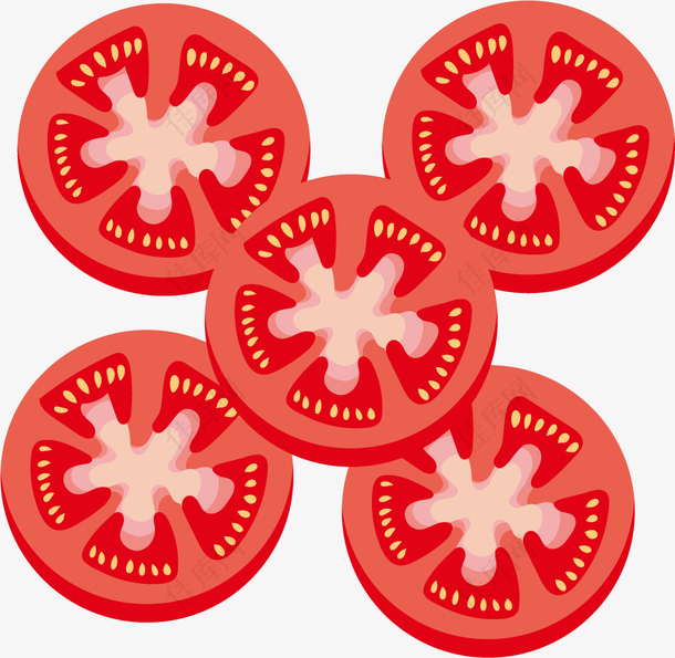 矢量切片番茄