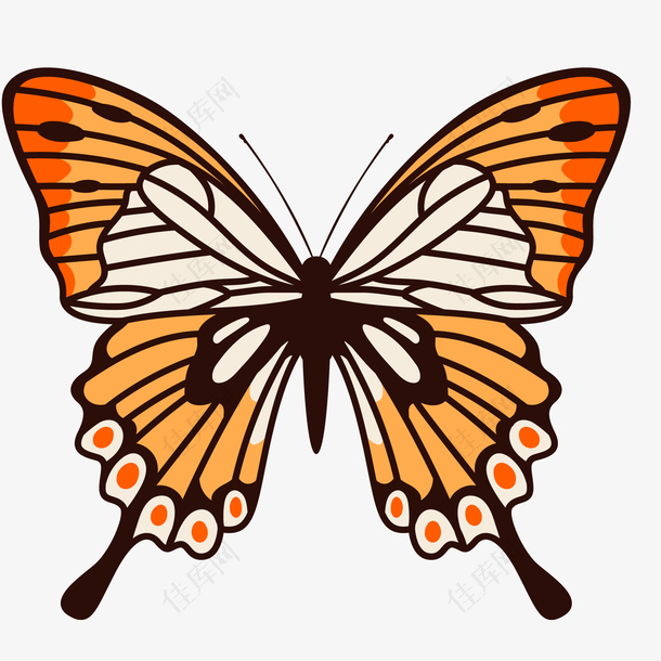 卡通彩色的蝴蝶花纹设计