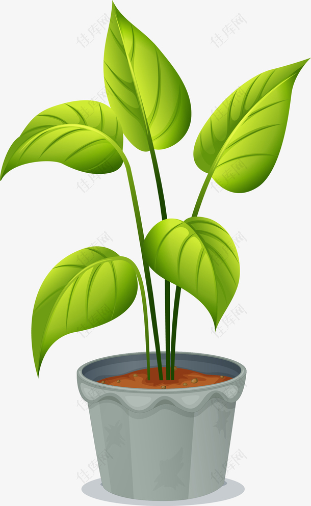 卡通绿色植物盆栽图