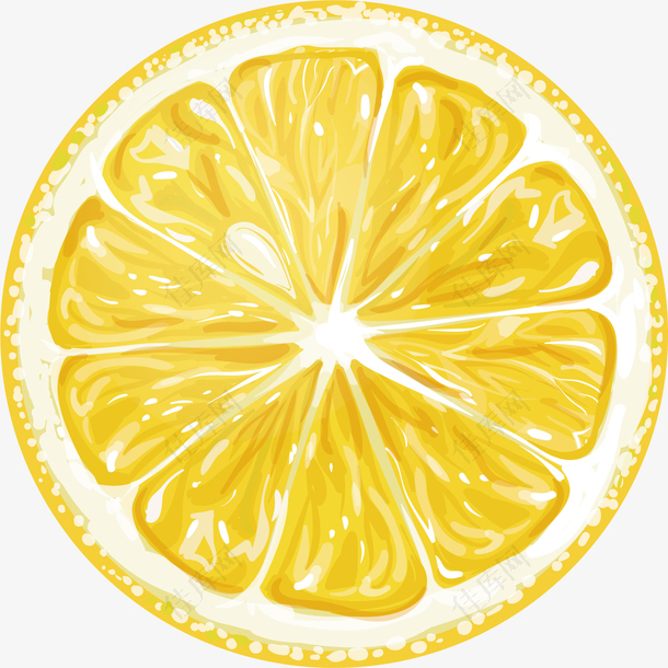 矢量图水彩黄色柠檬片