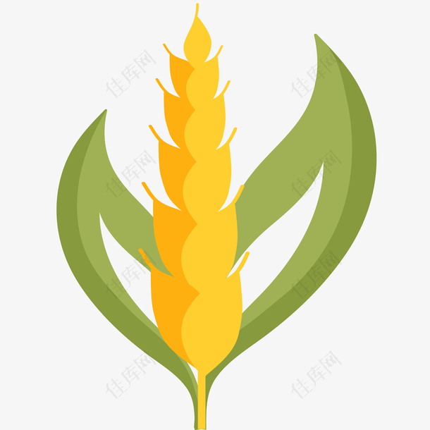 小麦LOGO免抠PNG