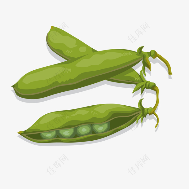 卡通豌豆植物设计