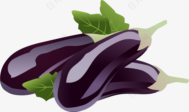 手绘紫色茄子叶子