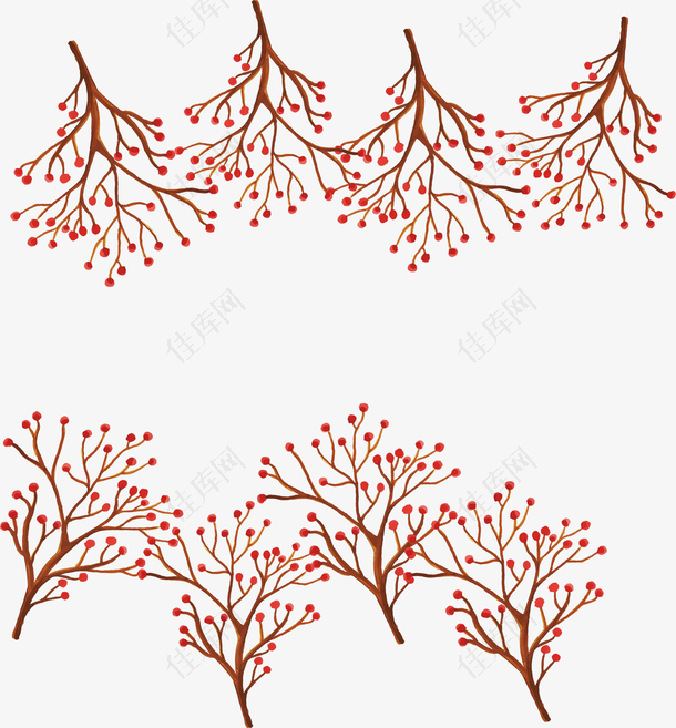 红色野果子树枝